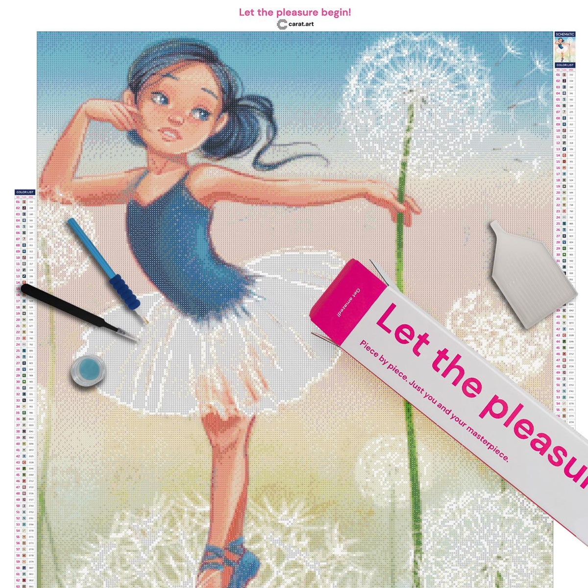 Diamond Painting Set mit Ballerina und Pusteblumen inklusive Leinwand, ciratart.com Karton und hochwertigem Zubehör