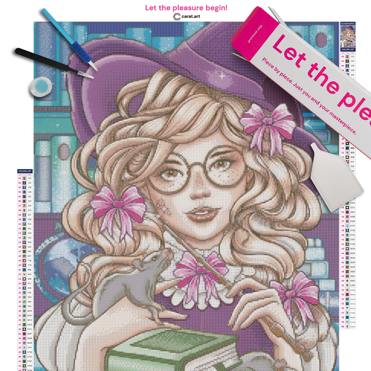 Diamond Painting Komplett-Set mit kleiner Hexe, zwei Ratten, Zauberstab und Bücherstapel in einer magischen Bibliothek auf Leinwand mit Diamond Painting Zubehör und ciratart.com Box