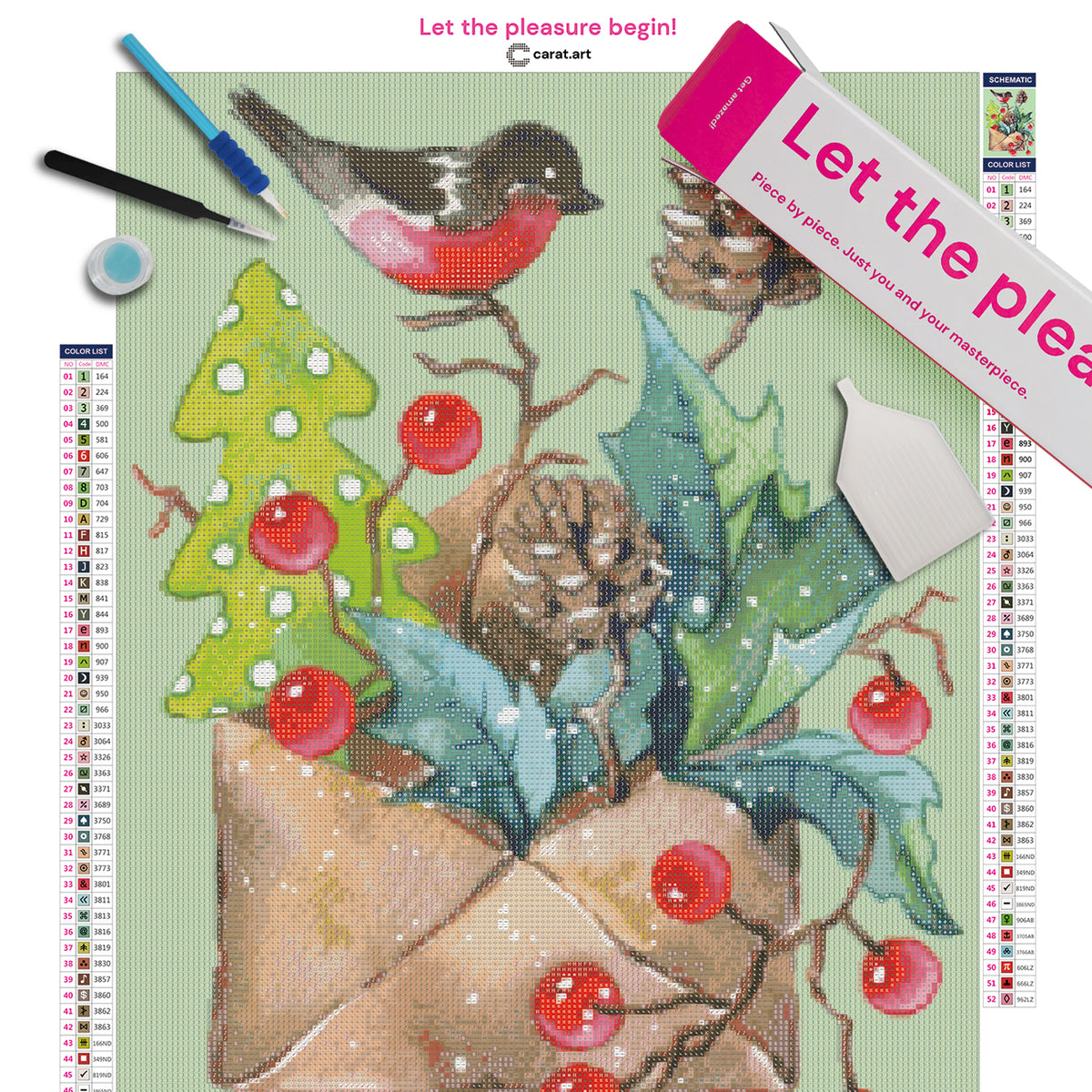 Diamond Painting Set mit festlichem Umschlag, Tannenzapfen, Stechpalmenblättern, roten Beeren und kleinem Vogel inklusive Leinwand, ciratart.com Karton und hochwertigem Zubehör