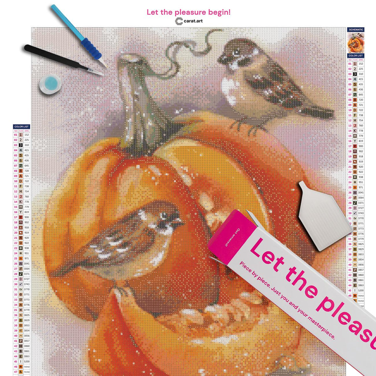 Diamond Painting Set mit Kürbismotiv mit Vögeln, ciratart.com Premium Leinwand und Zubehör